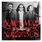 Track Of The Day #113: The Jon Spencer Blues Explosion - Black Mould