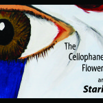 The Cellophane Flowers – Staring At The World (Minor Falls Records)