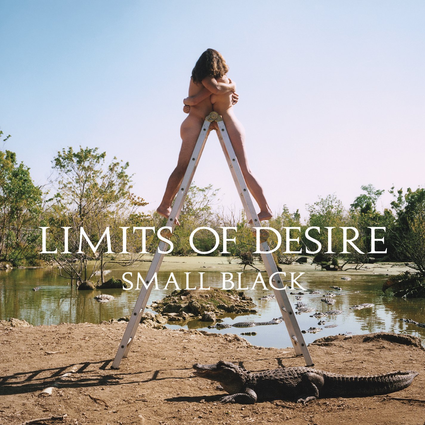 Small Black - Limits of Desire (Jagjaguwar) 2