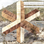 sleepmakeswaves - '…and so we destroyed everything’ (Monotreme)