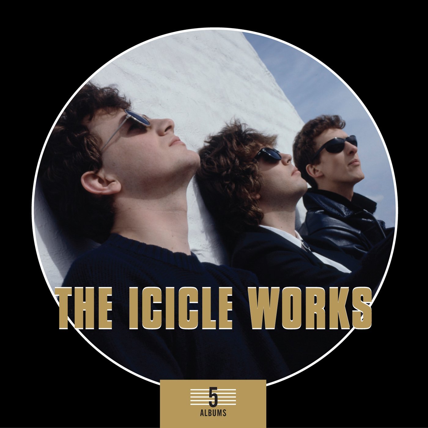The absolute Works: The Icicle Works 5 albums box set