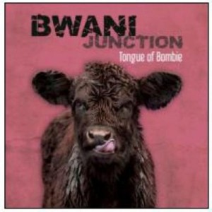 Bwani-Junction-400x400