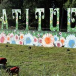 Latitude Festival – Henham Park, Suffolk, 17th to 20th July 2014 1