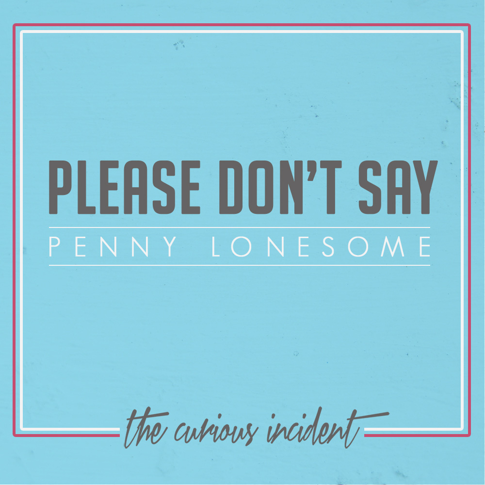 The Curious Incident – ‘Please Don’t Say’ (Cat String Records) 1