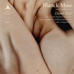 Blanck Mass - Dumb Flesh (Sacred Bones)