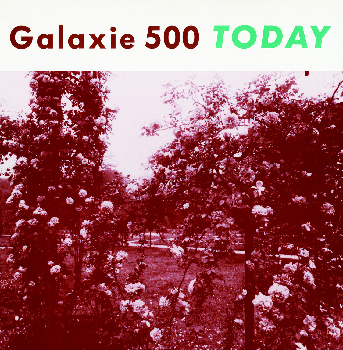 Diamonds and Rust: Galaxie 500- Today