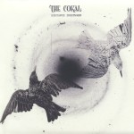 The Coral - Distance Inbetween (Ignition)