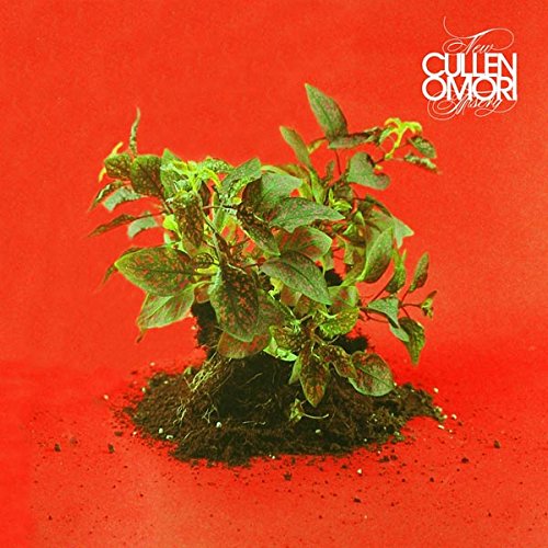 Cullen Omori - New Misery (Sub Pop)