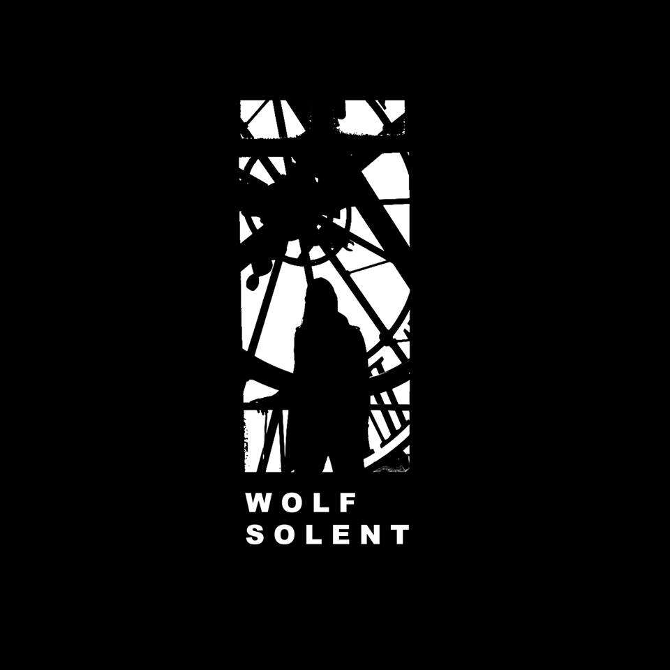 VIDEO PREMIERE: Wolf Solent – Countless Minds 2