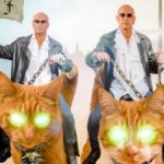 IN CONVERSATION: Richard Fairbrass of Right Said Fred