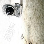 From the Crate: LCD Soundsystem - Sound of Silver
