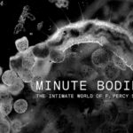 Tindersticks – Minute Bodies: The Intimate World of F Percy Smith (City Slang)