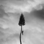 Manchester Orchestra - A Black Mile To The Surface (Loma Vista Recordings)