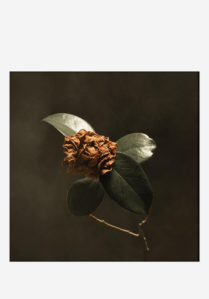St. Paul And The Broken Bones - Young Sick Camellia (RECORDS, LLC)
