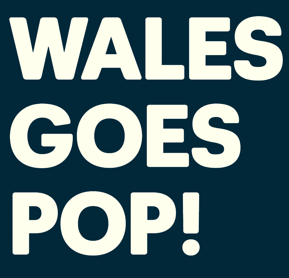 NEWS: Tracyanne & Danny, She Drew The Gun, Bryde, International Teachers of Pop and the Cornshed Sisters amongst additions for Wales Goes Pop! 2019