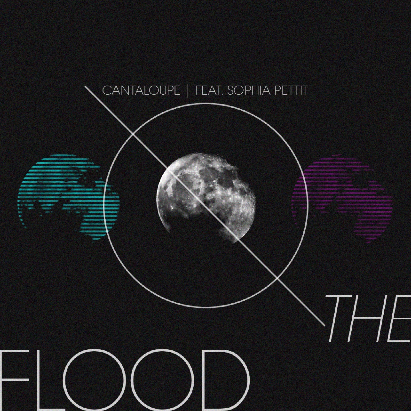 Video Of The Week #128: Cantaloupe - The Flood feat Sophia Pettit (Night Flowers)