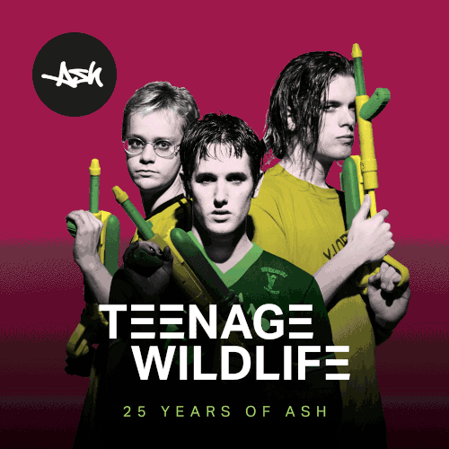 Ash - Teenage Wildlife (BMG)