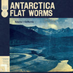 Flat Worms - Antarctica (Drag City)