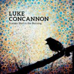 Luke Concannon - Ecstatic Bird in the Burning (The Movement)