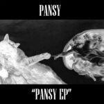 Pansy - Pansy E.P. (Self-Released)