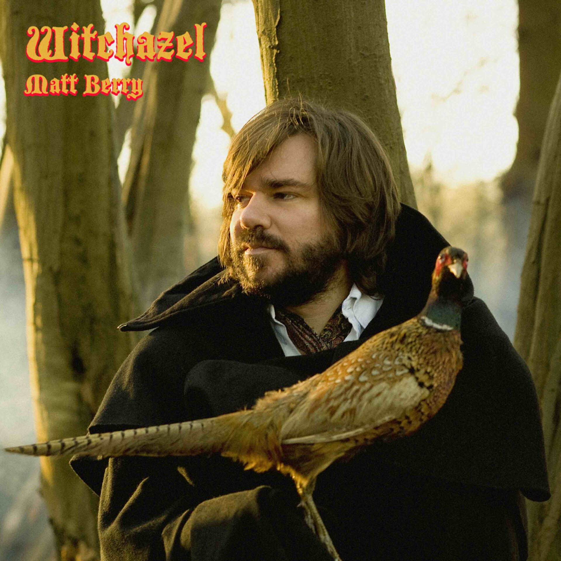 Matt Berry vinyl reissues - Witchazel & Kill The Wolf 2