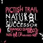 NEWS: Pictish Trail’s recent single Natural Successor is Remixed by Django Django