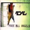 Ash - Free All Angels (BMG, Vinyl re-issue)