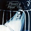Nicole Dollanganger - Married in Mount Airy (self released)