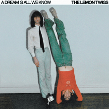 TheLemonTwigs1700258510284448